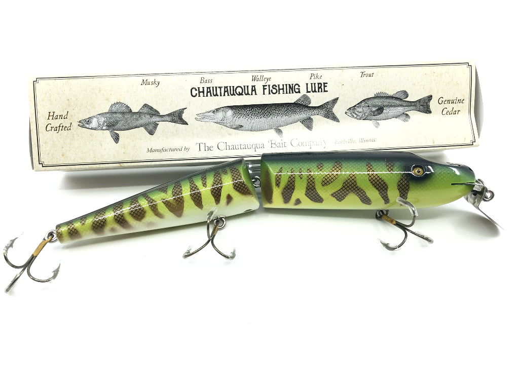 Chautauqua 10" Giant Pikie in Tiger Perch 2020 Color