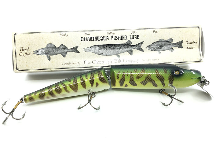 Chautauqua 10" Giant Pikie in Tiger Perch 2020 Color