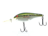 Rebel Excalibur Shad R Bass