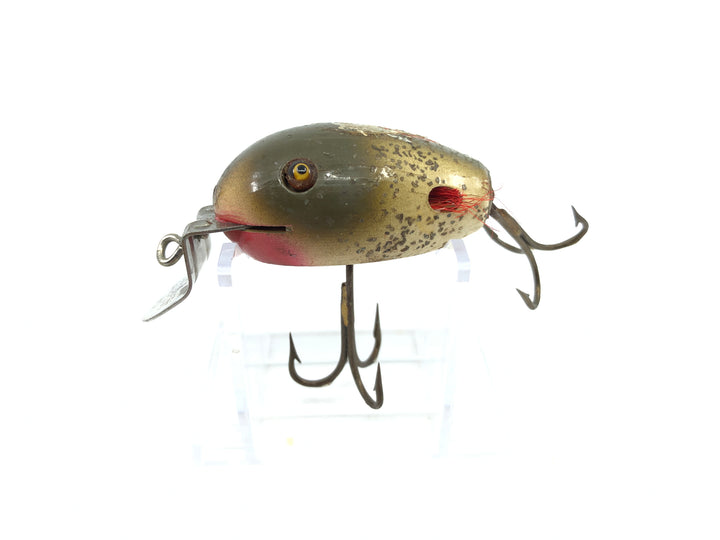 Creek Chub Dingbat Silver Flash Color Missing Wings