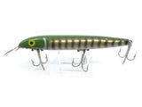Husky Cisco Kid Musky Lure Green Pike Color