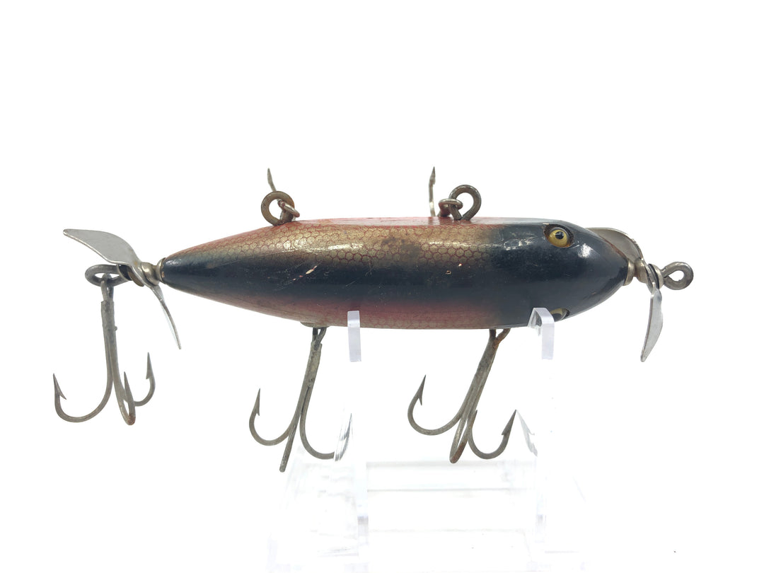 Creek Chub Glass Eyed Injured Minnow Red Side Color Added Hooks