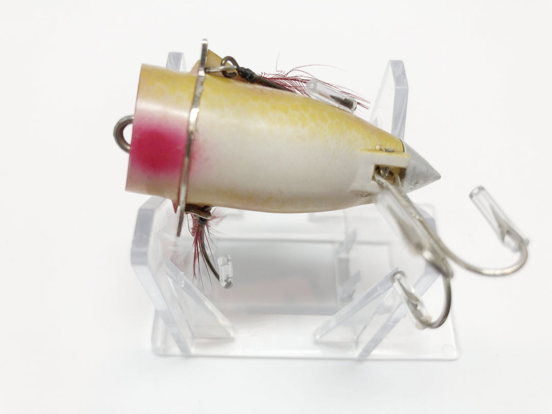 Airex Popit Perch Scale
