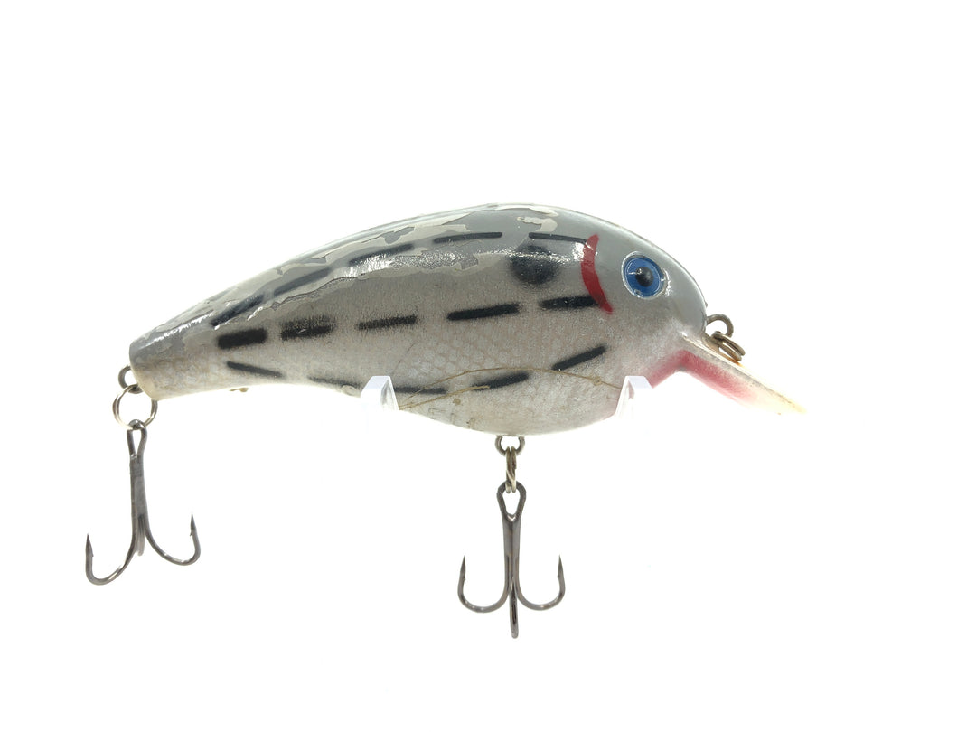 Cordell Big-O Gray with Black Dashes Classic Color