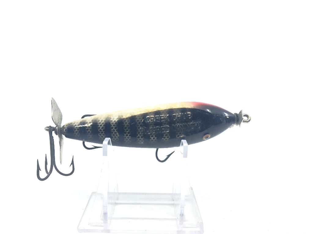 Creek Chub 1500 Injured Minnow 1533 Black Scale Color