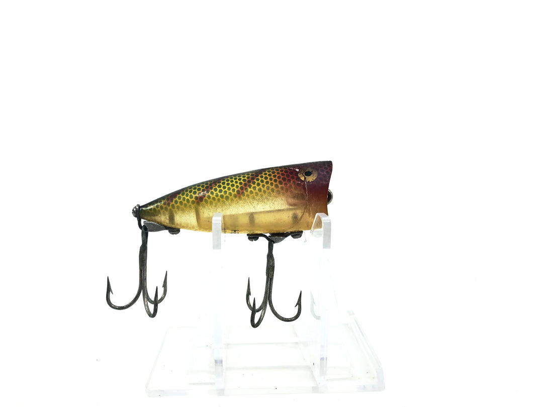 Heddon Chugger Spook 9540L Perch