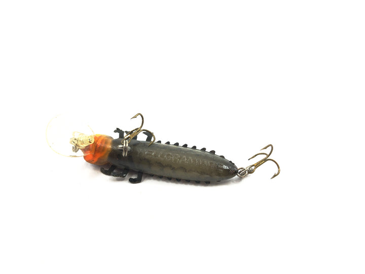 Rebel Hellgramite Orange and Black Color