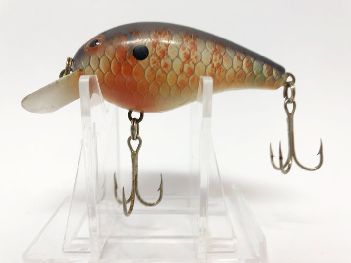 Big-O Type Lure in Sunfish Scale