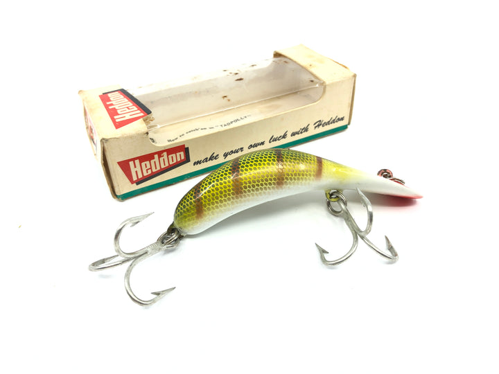 Heddon Magnum Tadpolly 9006L Perch Color with Box