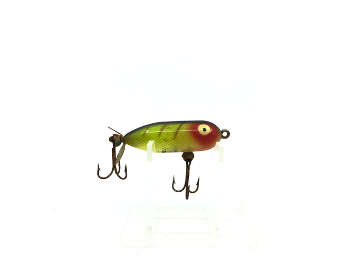 Heddon Tiny Torpedo L Perch Color