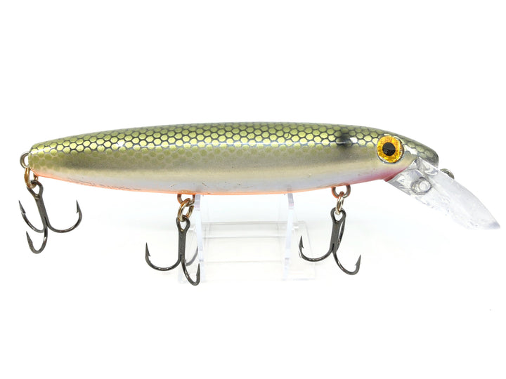 Bucher DepthRaider Musky Lure Great Color
