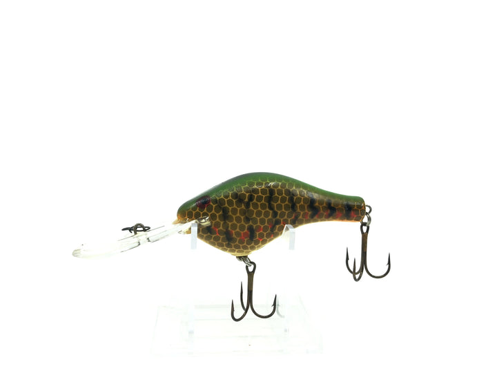 Worden's 400 Crankbait Wounded Perch Color