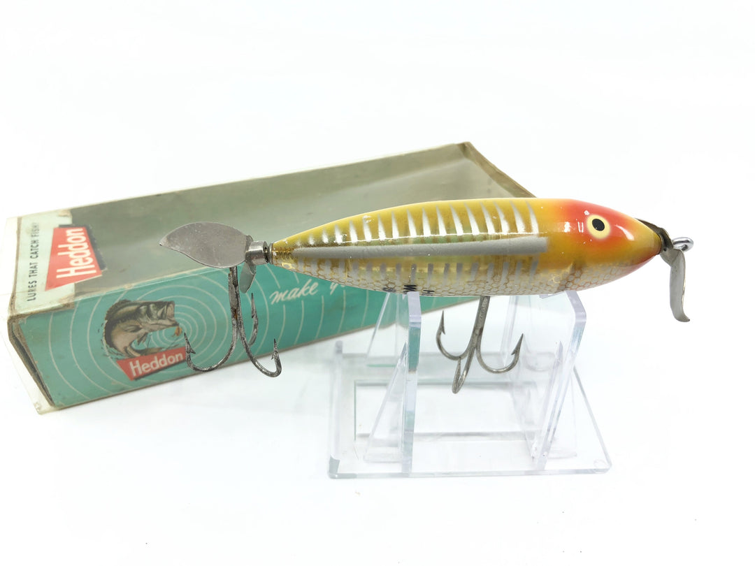 Heddon Wounded Spook Yellow Shore with Box