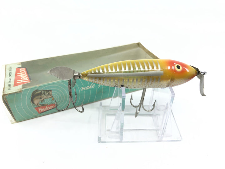 Heddon Wounded Spook Yellow Shore with Box