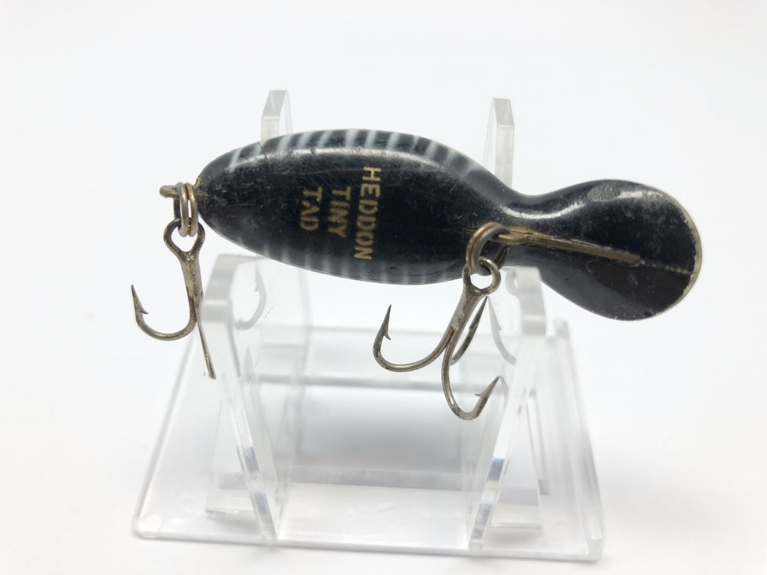 Heddon Tiny Tad Tadpolly in Black Shore Color