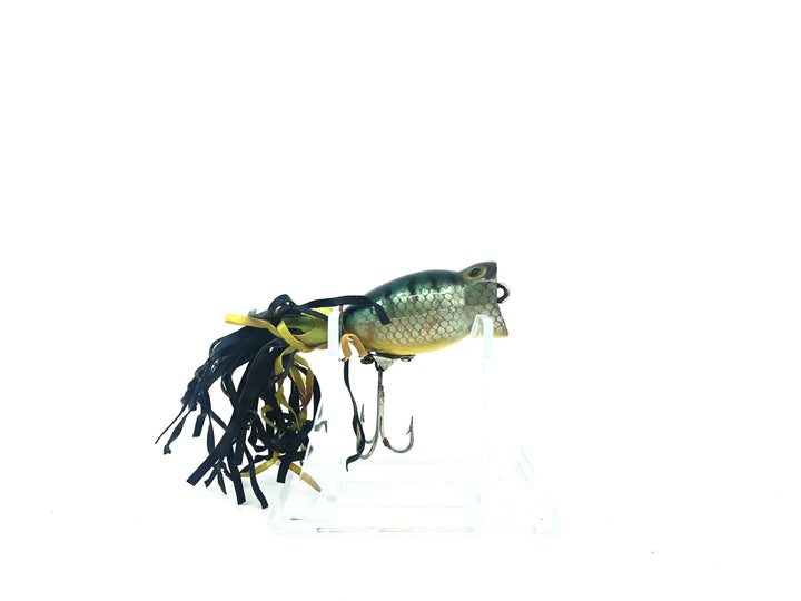 Arbogast Hula Popper Perch Plastic