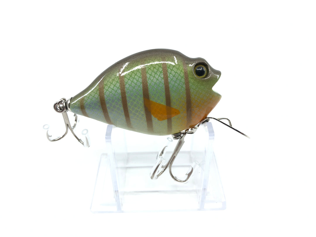Chautauqua Special Order Wooden Punkinseed Lure