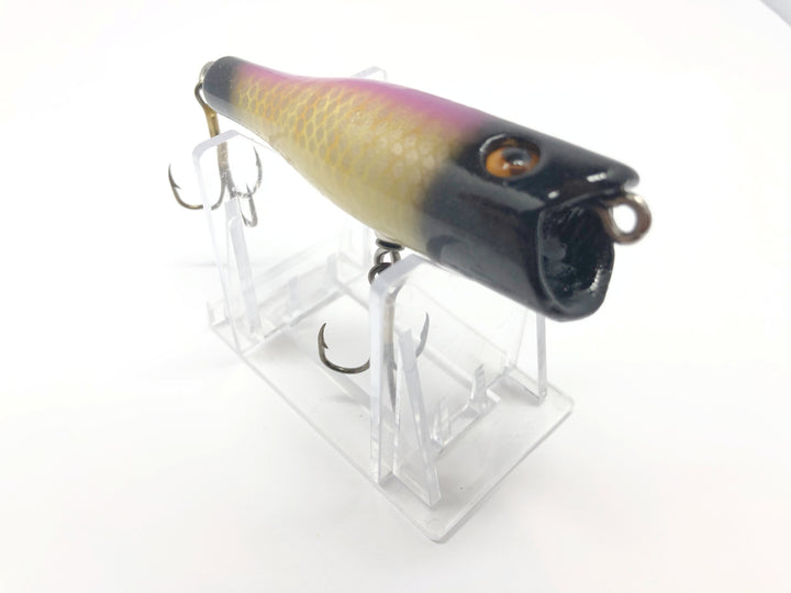 Chautauqua Glass Eyed Popper Wooden Lure in Neon Bandit Color