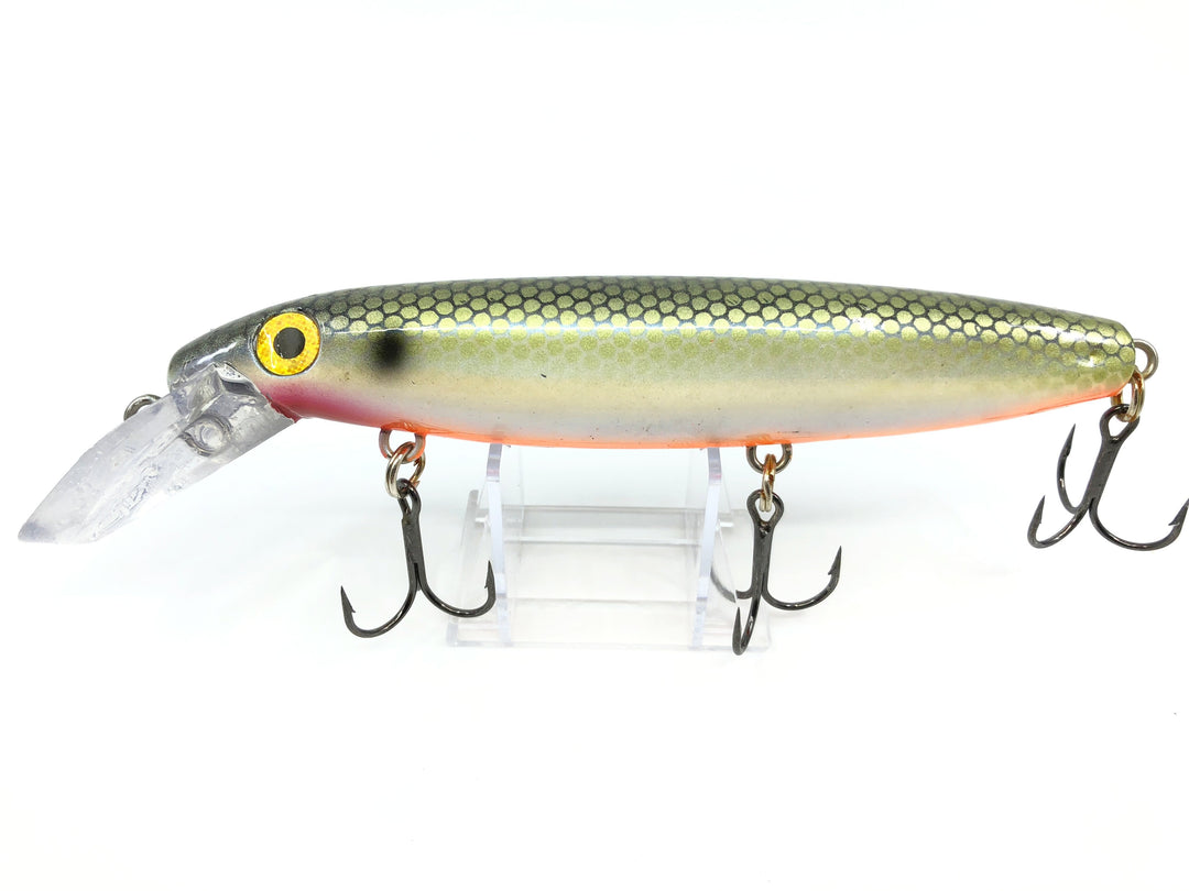 Bucher DepthRaider Musky Lure Great Color