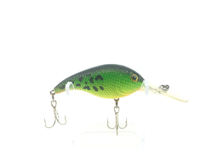 Scale Texture Rattle Vibrant Sunfish Color