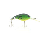 Scale Texture Rattletrap Vibrant Sunfish Color