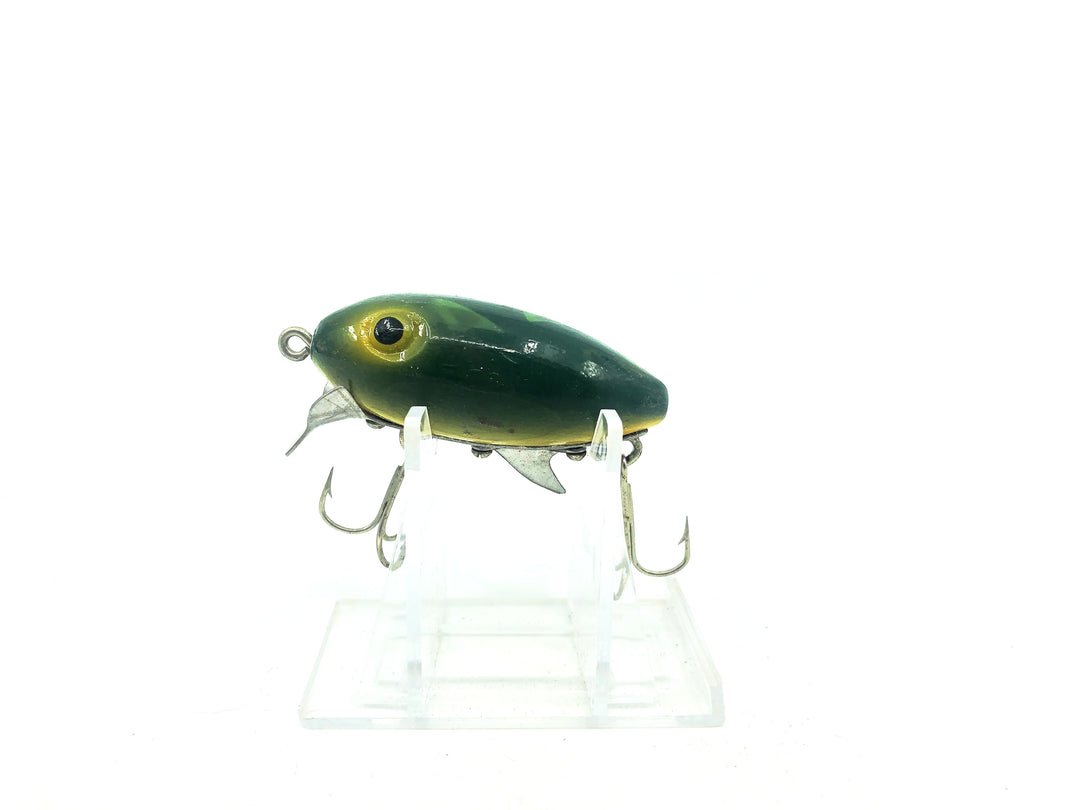 Clark's Water Scout Bullfrog Color
