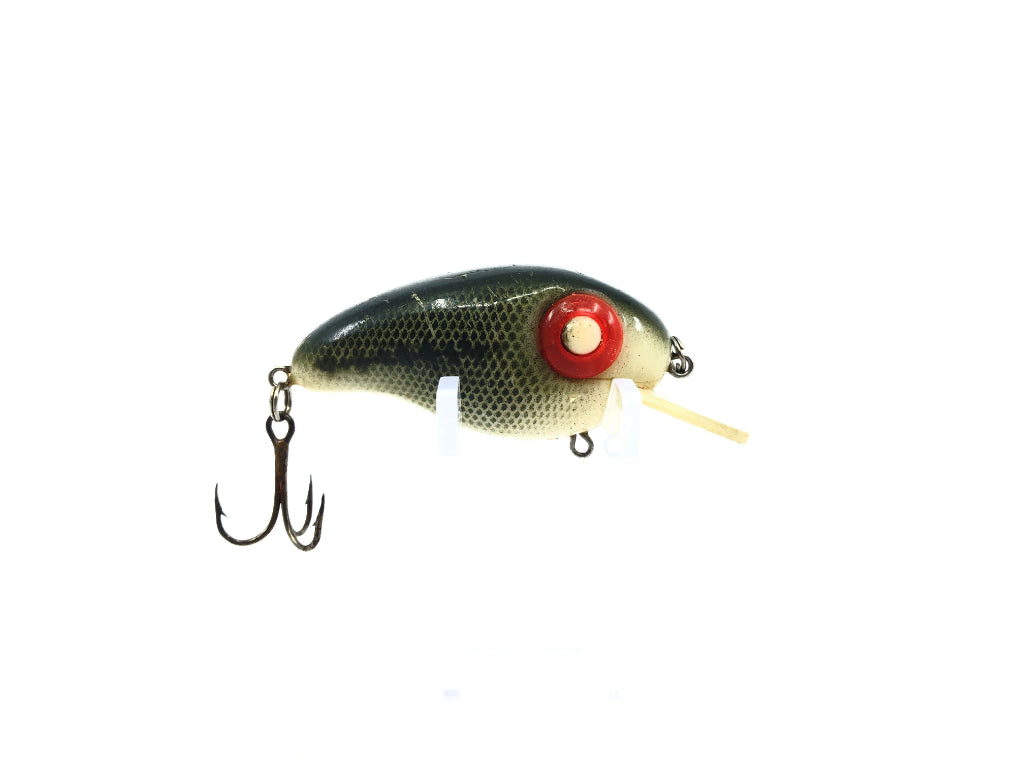 Rabble Rouser Ashley Baby Bass Color