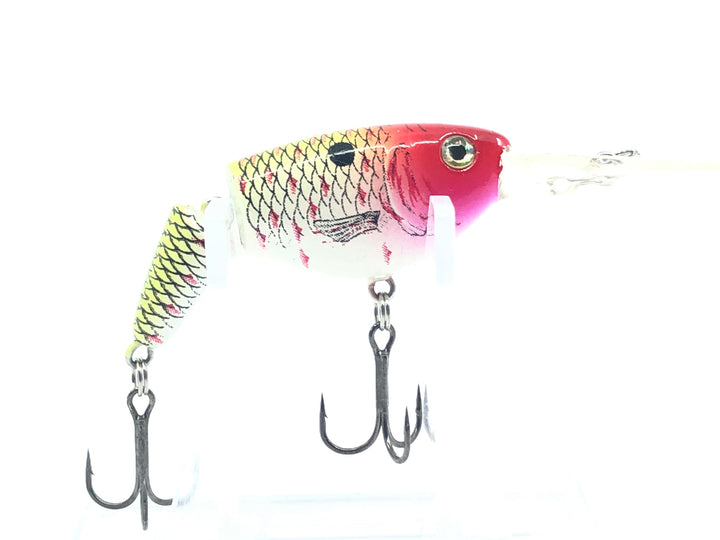Jointed Shad Rap Rainbow Trout