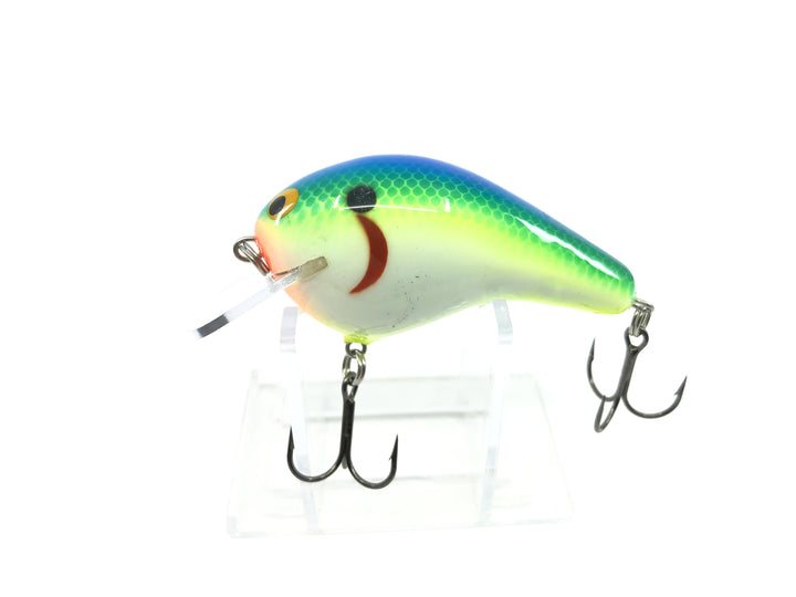 Bagley B2 Square Bill Citrus Shad Old Version Color BB2-CTSD New in Box OLD STOCK2