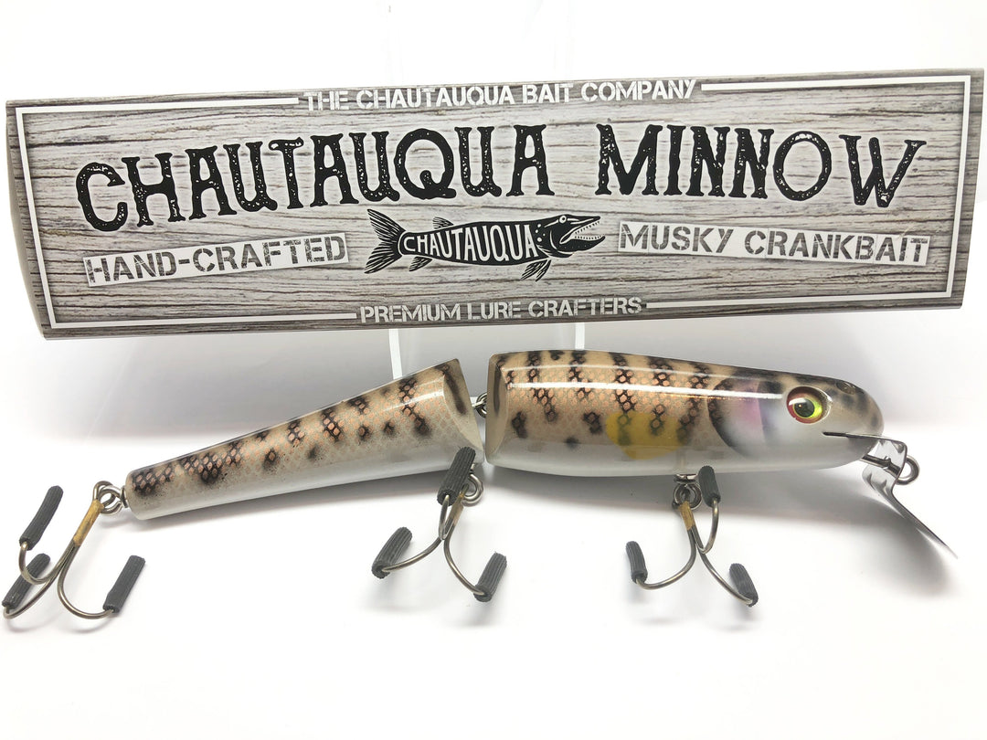Jointed Chautauqua 8" Minnow Musky Lure Special Order Color "HD Sucker V2"
