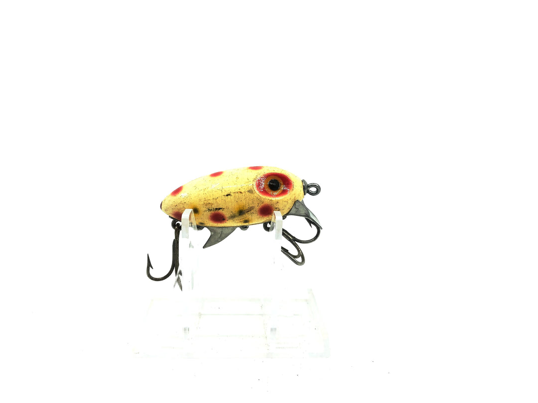 Clark's Water Scout Strawberry Color