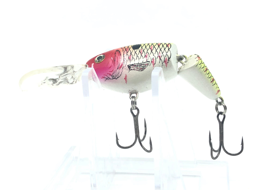 Jointed Shad Rap Rainbow Trout