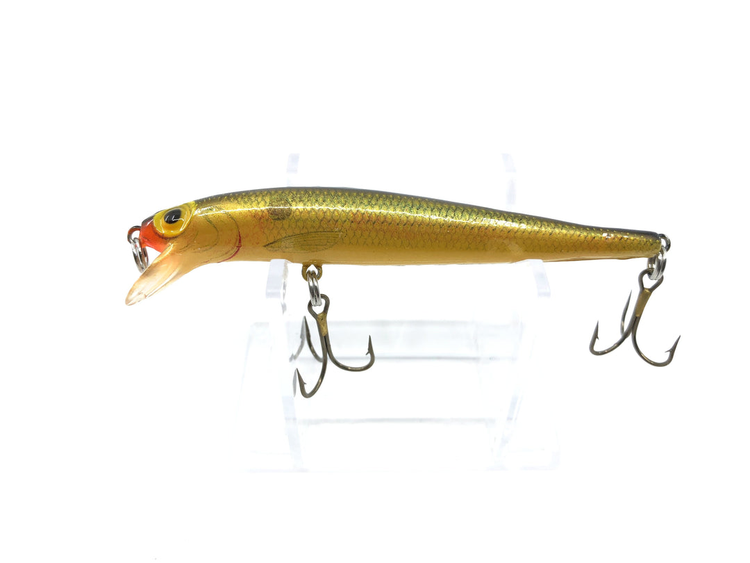 Storm Jr. Thunder Stick Golden Shiner Color