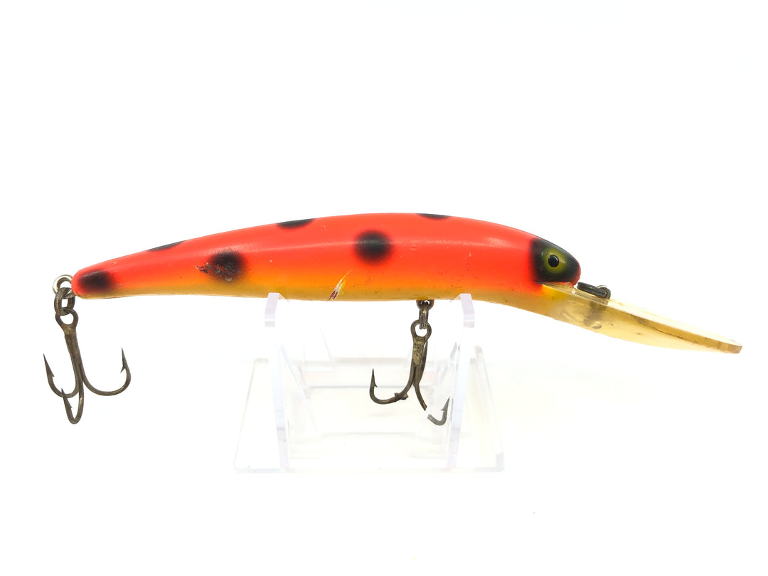 Bomber Long A 25A Orange with Black Dots Yellow Belly Color Screwtail