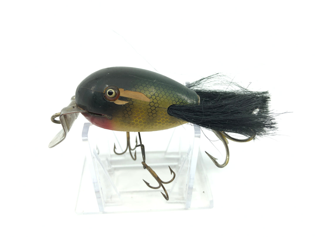 Creek Chub 5100 Dingbat in Perch Color 5101