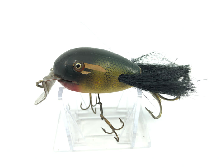 Creek Chub 5100 Dingbat in Perch Color 5101
