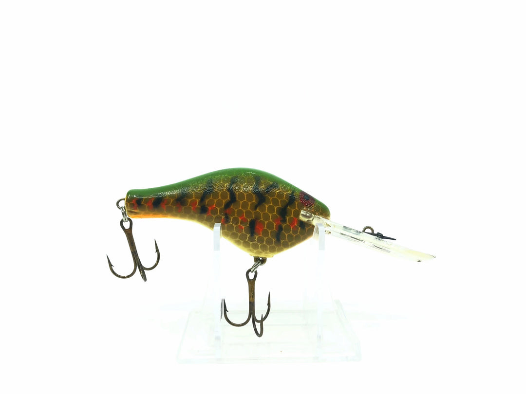 Worden's 400 Crankbait Wounded Perch Color