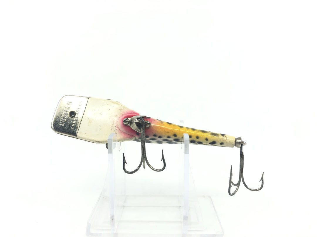 Arbogast Hustler Coachdog Color