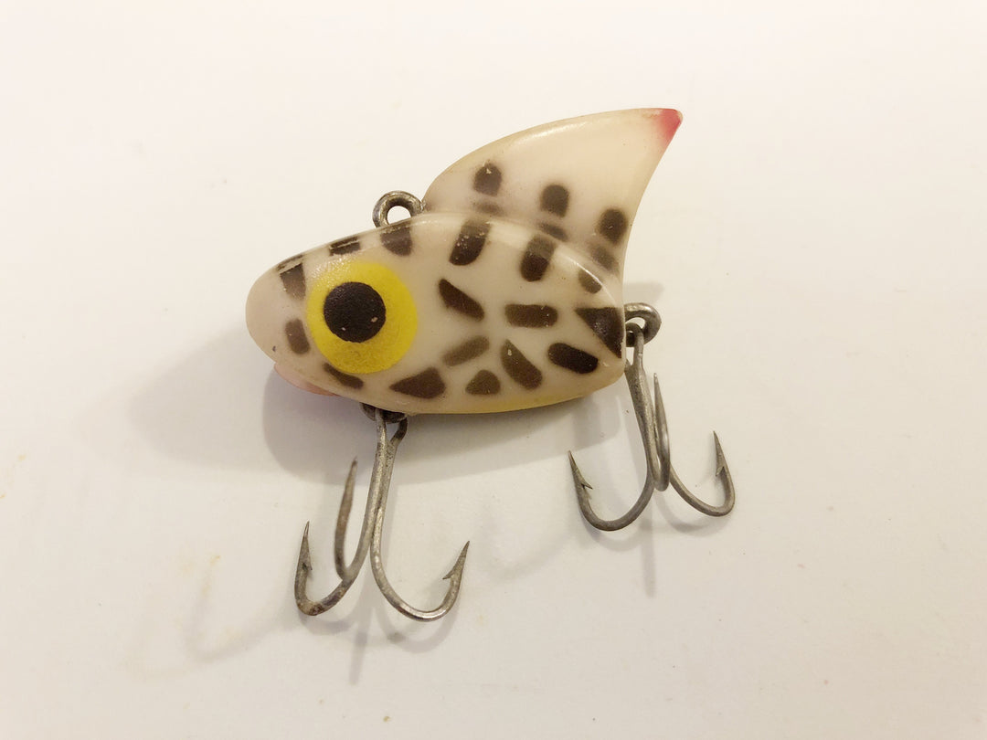 Lazy Ike Shark Ike / Sail Shark Color CD Coachdog