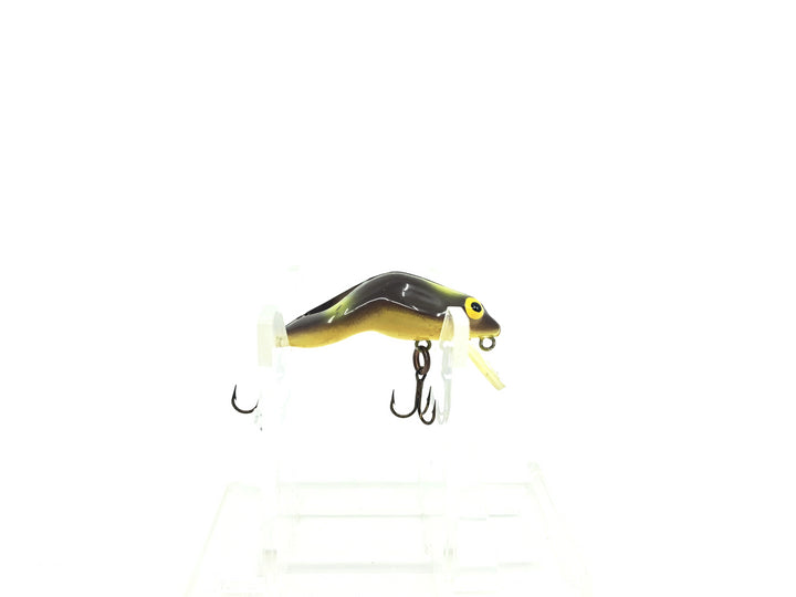 Rebel Teeny Wee Frog Brown Green Spots Color