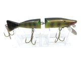 Radtke Jointed Pikie Perch Color