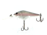 Berkley Frenzy FD7-M Pearl 