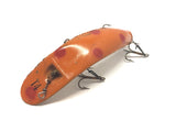 Helin Flatfish T4 Orange with Red Spots and Gold Bottom  