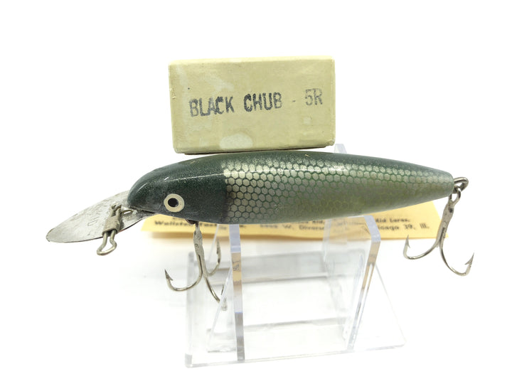 Wallsten Tackle Cisco Kid Black Chub Color with Box and Paper Insert