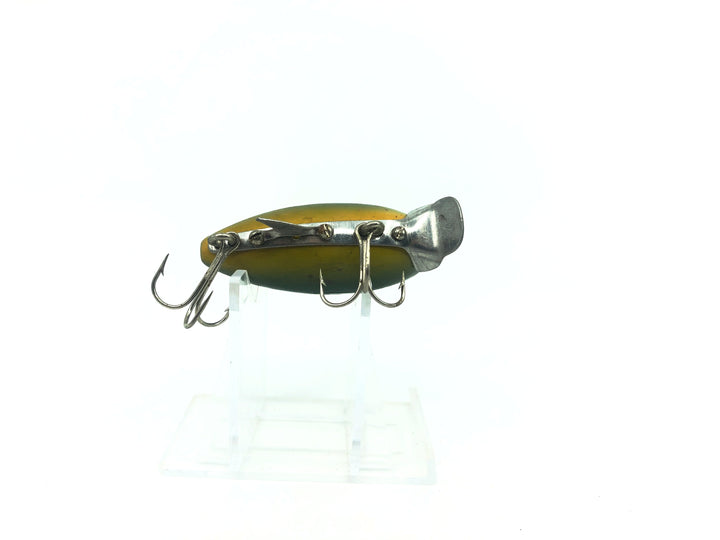 Clark's Water Scout Bullfrog Color