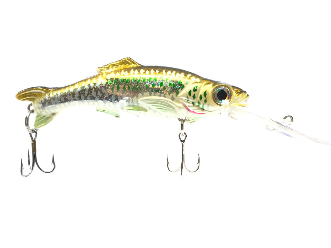 Worden's Sea Tiger BUN Golden Mackerel Salesmen Sample
