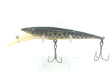 Arbogast Arby Crankbait Coachdog Color