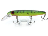 Bucher Depth Raider Firetiger Color