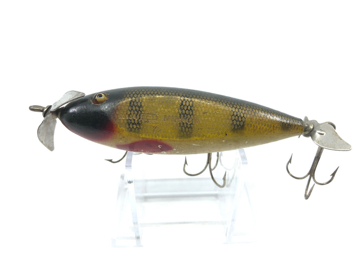 Creek Chub Injured Minnow Perch Color