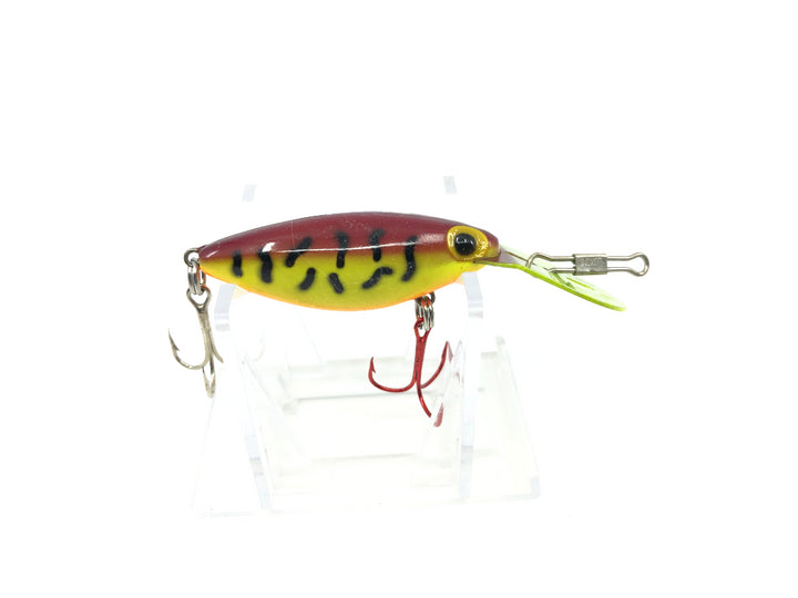 Storm Hot 'N Tot H82 Purple Tiger Color